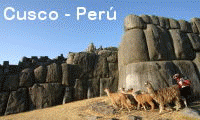 banner-gallery