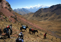 trekking