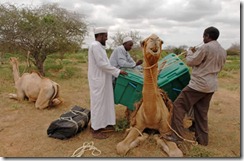 SOCamel2